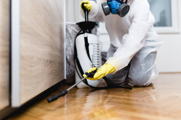 Best Pest Control for Homes  in Westwood Shores, TX