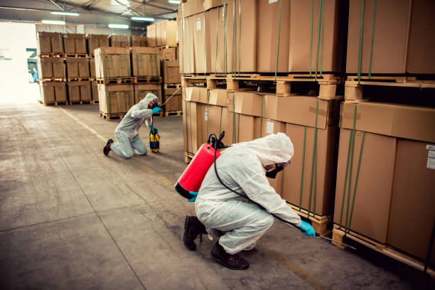 Best Rat Extermination Near Me  in Westwood Shores, TX