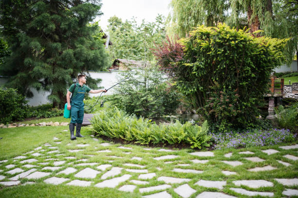 Best Pest Removal Services  in Westwood Shores, TX