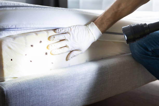 Best Commercial Pest Control Services  in Westwood Shores, TX
